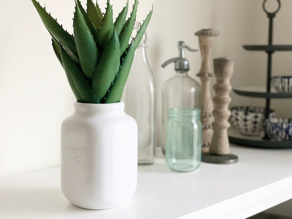 Mason Jar with Aloe plant